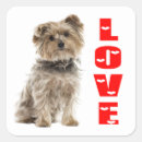 Search for yorkie dad Dog mum