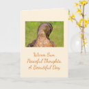 Search for waterfowl photography Beautiful