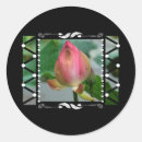 Search for floral lotus stickers Flower