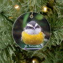 Search for little bird christmas tree decorations Animals