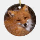 Search for red fox christmas tree decorations Winter