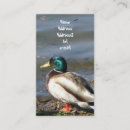 Search for duck business cards Nature