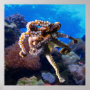 Search for coral reef art Tropical