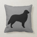 Search for be flat cushions Flat coated retriever