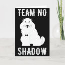 Search for meteorology cards Shadow