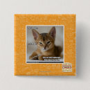 Search for “dead badges I can has cheezburger
