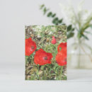 Search for poppy design postcards Nature