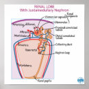 Search for surgical art Medical