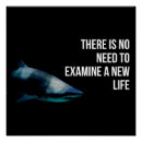 Search for apex posters Shark