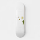Search for save skateboards Beekeeper
