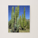 Search for pipe puzzles Cactus