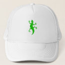 Search for native american cultures hats Southwest