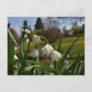 Search for with white background postcards Garden