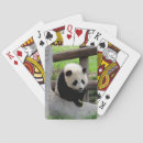 Search for panda playing cards Animal
