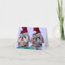 Search for shih tzu christmas cards Small