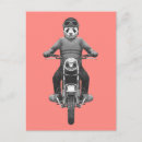 Search for motor bike postcards Race