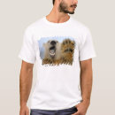 Search for ice pack tshirts White bear