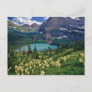 Search for beargrass Glacier national park