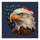 Search for american eagle posters United states