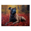 Search for cane corso art Pet