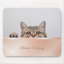 Search for peek a mousepads Cat