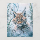 Search for lynxes postcards Animal
