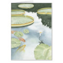 Search for fish pond Koi