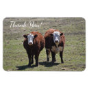 Search for masculine magnets Rustic