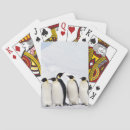 Search for penguin playing cards Wildlife