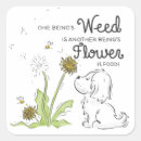 Search for bee weed Dandelion