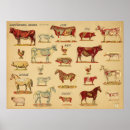 Search for vintage kitchen posters Cow