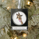 Search for wink christmas tree decorations Cartoon