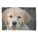 Search for retriever pillowcases Puppy