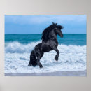 Search for stallion posters Black