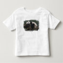 Search for panda giant tshirts Bamboo
