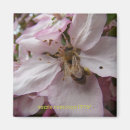 Search for pollen magnets Pink