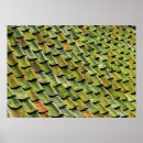 Search for shingles posters Roof
