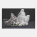 Search for big cat fur stickers Animal