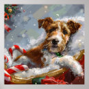 Search for fox terrier posters Animal