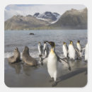 Search for strut stickers Wildlife