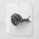 Search for 4x5 postcards Nature
