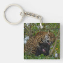 Search for jaguar key rings Black panther