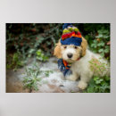 Search for pet photography posters Puppy