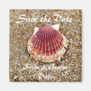 Search for pictures of shells invitations Sea shell