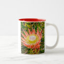Search for protea mugs Flower