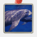 Search for two animals christmas tree decorations Sea
