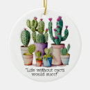 Search for southwest christmas tree decorations Saguaro