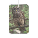 Search for owl car air fresheners Wildlife