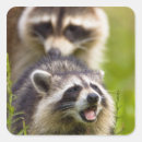 Search for larry stickers Mammal