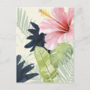 Search for punch postcards Tropical